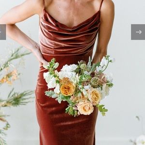 Revelry Skye Velvet Dress in Terracotta